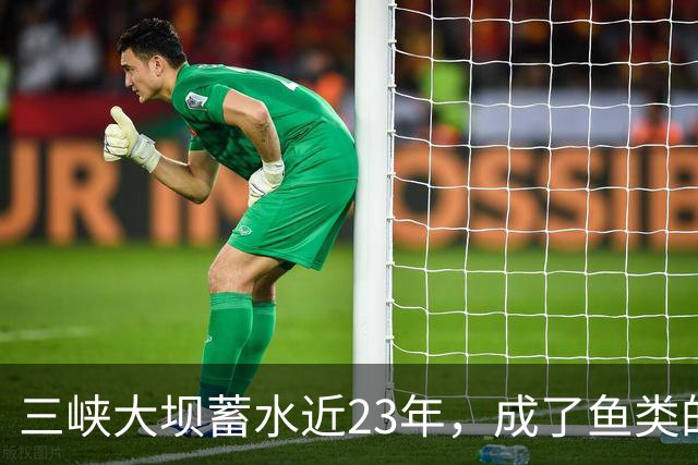 三峡大坝蓄水近23年，成了鱼类的天堂，如今库区最大鱼有多大？