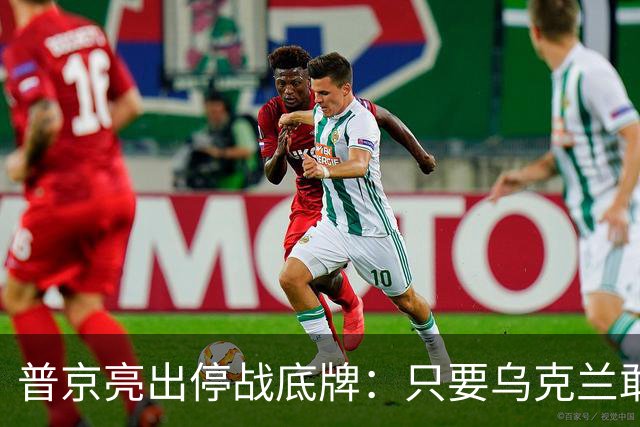 普京亮出停战底牌：只要乌克兰敢举行大选，俄军就停火一天！