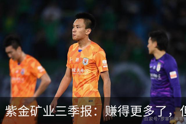 紫金矿业三季报：赚得更多了，但最好的那一段可能已经过去
