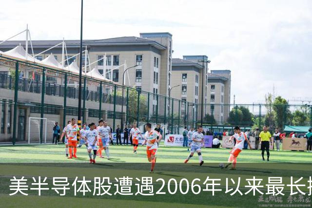 美半导体股遭遇2006年以来最长抛售潮，做空者却获利320亿美元