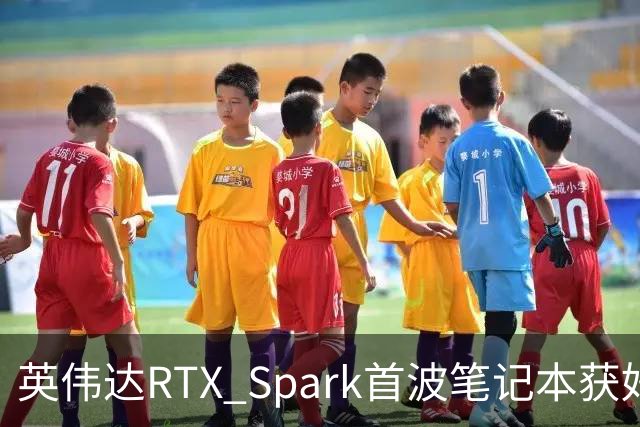 英伟达RTX Spark首波笔记本获好评，但续航成了问号