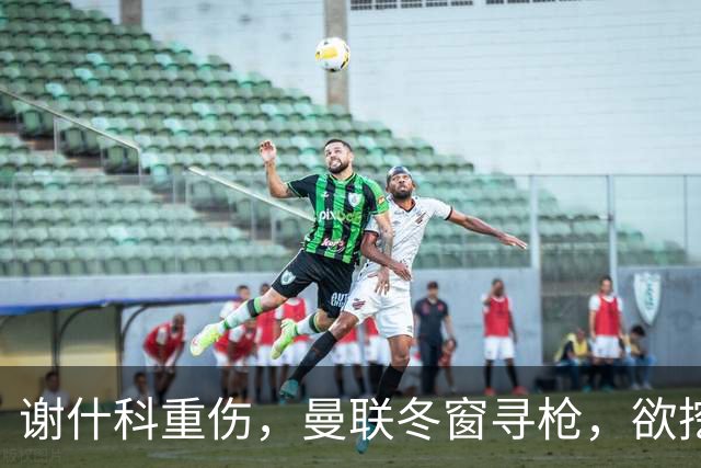 谢什科重伤，曼联冬窗寻枪，欲挖死敌当家射手，难度之大远超预期