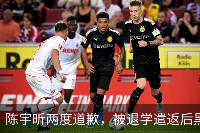 陈宇昕两度道歉，被退学遣返后黑料被扒：精日与分裂倾向早有痕迹