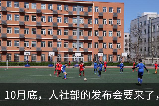 10月底，人社部的发布会要来了，2026年养老金调整会公布吗？